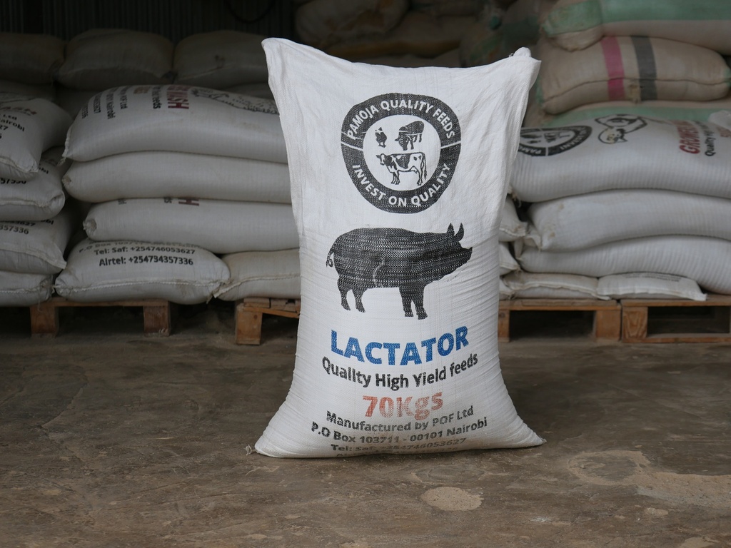 [PQF000077] Pig Lactator 20/15 - Quality High Yield Feeds 